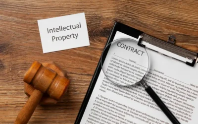 Copyright Infringement Laws and Anti-Piracy Measures